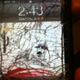 Illustration for article titled The Gizmodo vs. Deadspin iPhone Repair Contest: And The Winner Is...